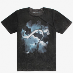 spirited away haku flying